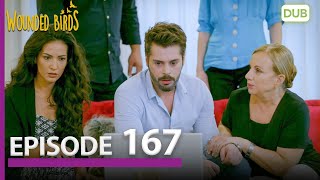 Wounded Birds Episode 167  Urdu Dubbed  Turkish Drama