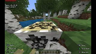 MINECRAFT SURVIVAL OSA 1 (100 tilaajaa spessu) @Iivarifin18