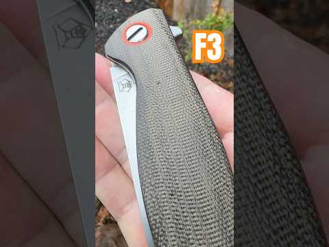 There’s Nothing Quite Like a Shiro   