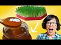 I Grew GRASS Turned It Into A Sweet SYRUP Homemade Malt Syrup 