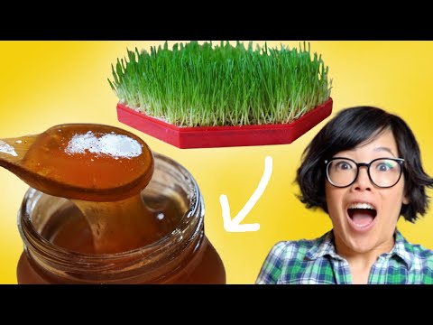 I Grew GRASS & Turned It Into A Sweet SYRUP | Homemade Malt Syrup