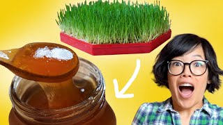 I Grew GRASS & Turned It Into A Sweet SYRUP | Homemade Malt Syrup