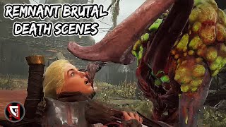 YouTube video 3LEU37CPvZc