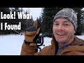 Look What I Found! | Snowstorm Wildlife Photography in Jackson Hole