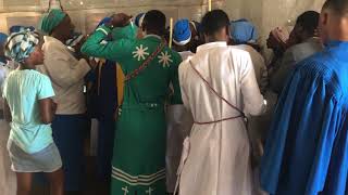 Busa Pelo Yaka Morena 29 Jan 2023