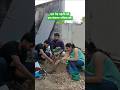 🌱 World Environment Day 2026 | Tree Plantation Drive by Our Team