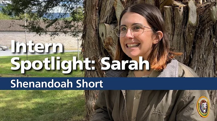 Intern Spotlight: Sarah Babcock
