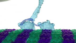3D Product Animation Clips From Some Of Our 2022 Work - DURTY