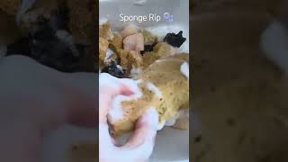 #spongeasmr #oddlysatisfying #asmr #satisfying #soap #spongesqueezing