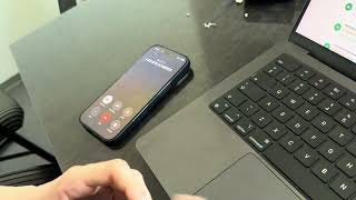 IMG 0288