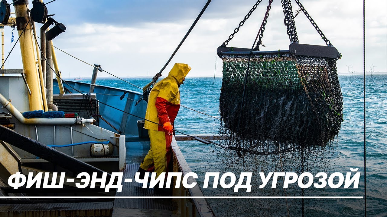 Госдума поддержала денонсацию соглашения 1956 года между СССР и Великобританией о рыболовстве