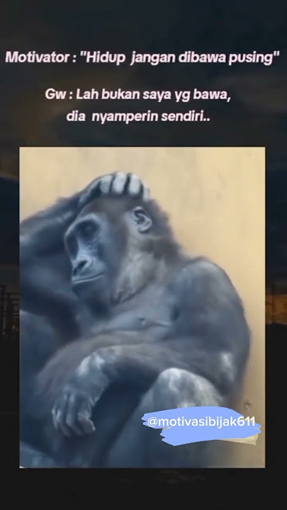 Motivasi Bijak Dari seorang monyet lucu