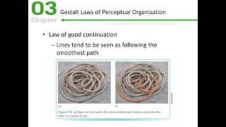 Celebrity Cognitive Psychology: Chapter 3 Lecture Profile