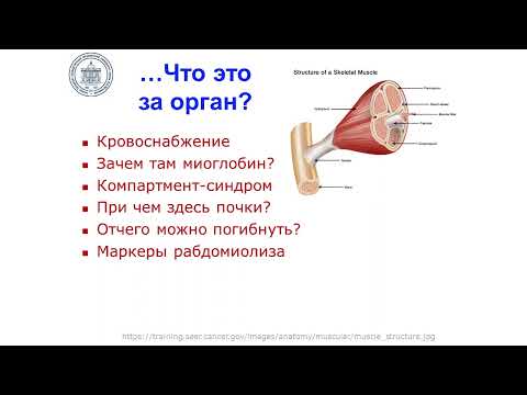 Злокачественная гипертермия и острый массивный рабдомиолиз