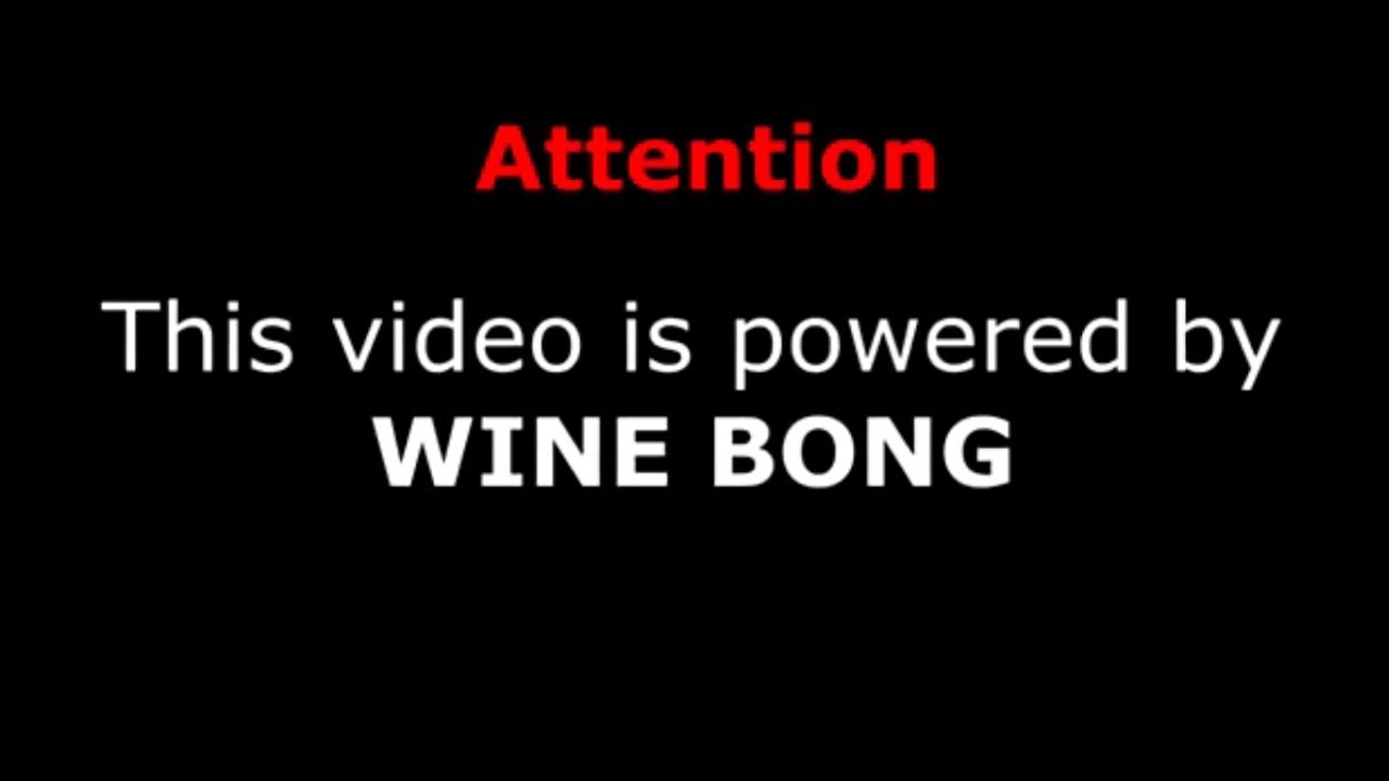 PIGS PARLAMENT - Banjo Punk (Official Video)