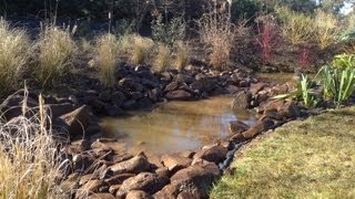 Rock Pond Time Lapse