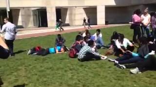 NCHS Seniors 2013 Harlem Shake