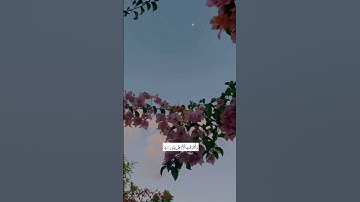 ‎وَأَشْرَقَتِ الْأَرْضُ بِنُورِ رَبِّهَا#شريف_مصطفى | #سورة_الزمر