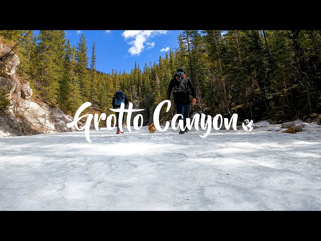 Grotto Canyon, randonner sur une rivière gelée dans Kananaskis Country