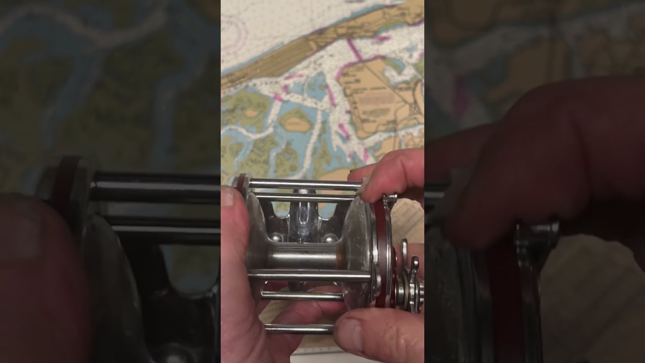 Penn 113H Special Senator Fishing Reel Of The Day Fish