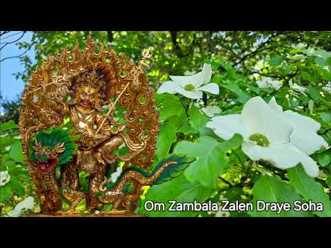 Jambhala Buddha Mantra Om Zambala Zalen Draye Soha 