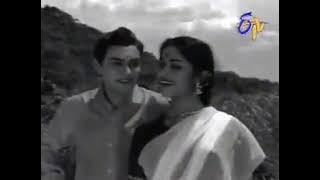 NIVE NIVE, NINNE NINNE, NIVE NIVE KAVALISINADI      CHITRAM   INTIKI DEEPAM ILLALE 1961   YouTube 36