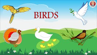 اسماء الطيور بالانجليزى للاطفال  Birds Names For Kids