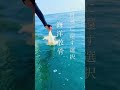 墓じまいして親の子孝行　大分で海洋散骨