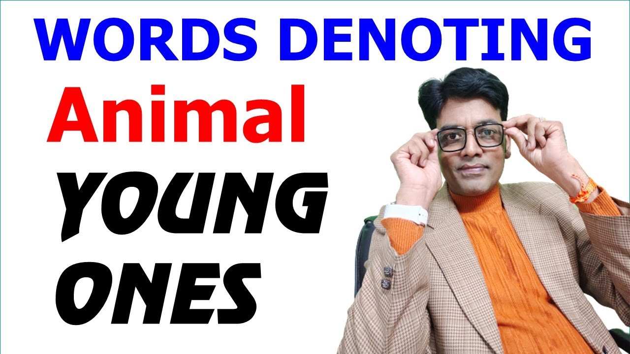 Words Denoting Animal YOUNG ONES 