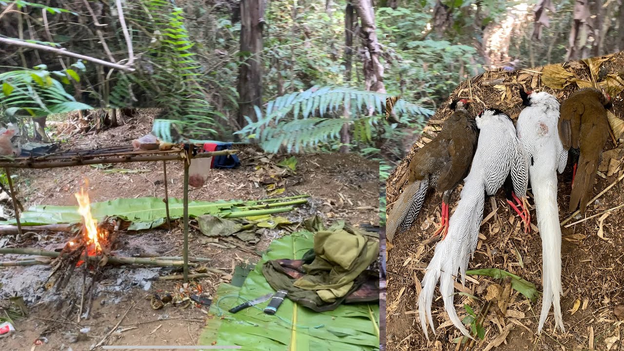 mus yos tsham hav zoov/Hunting pt 143# 26/01/2026