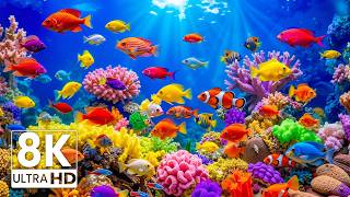 Tropical Ocean Fish, Coral Reefs — Discover Marine Life in The Ultimate 8K UHD Aquarium #3