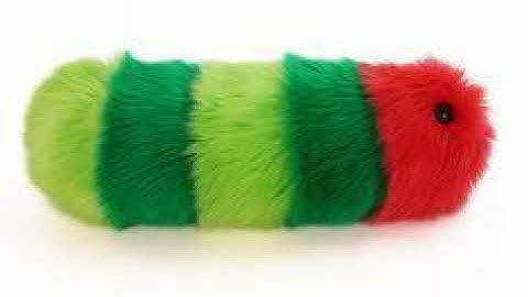 song that plays when you encounter a caterpillar