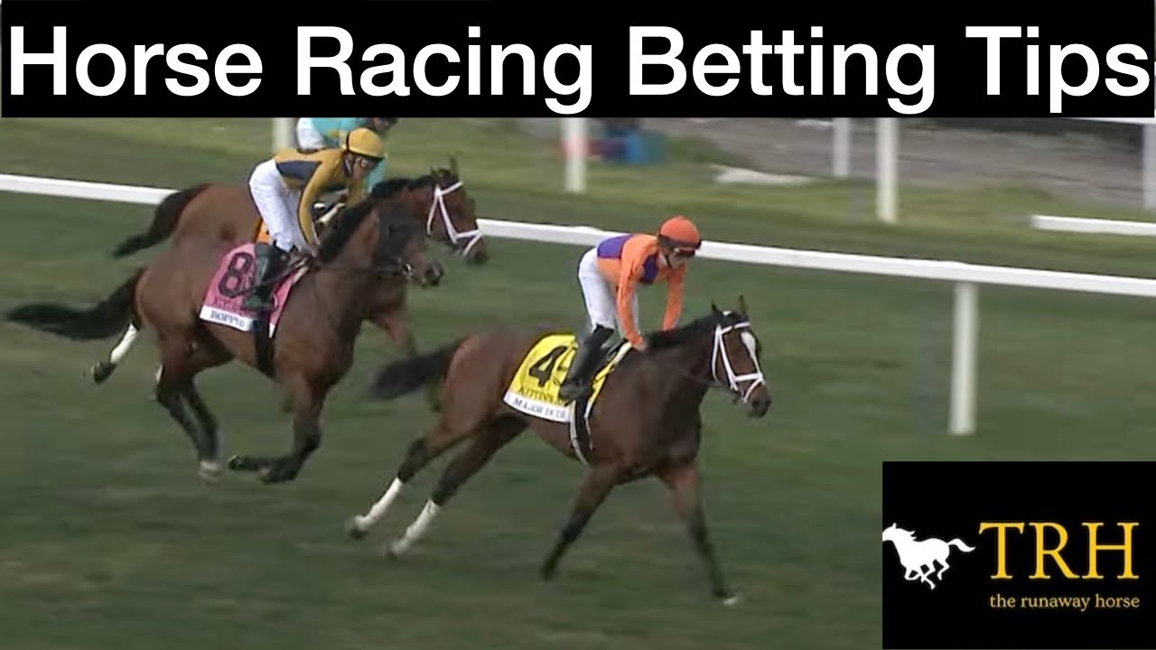 How to Bet Horse Racing - Expert Advice on Wagering Strategies - Win More Money
