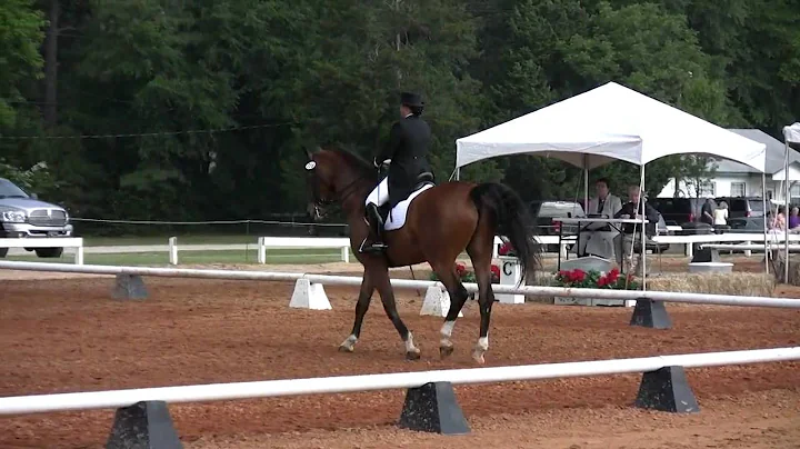 Rhonda Dretel Intermediate 1 Dressage Test