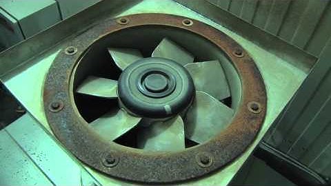 Video Bulk Potato Cold Store - Loading & Unloading