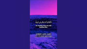 سورة الزمر الآيات من ١١ - ١٥ الشيخ ماهر المعيقلي