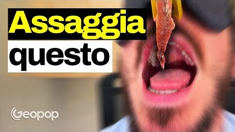 Come fa il nostro cervello a riconoscere i diversi sapori? La spiegazione scientifica con un esempio