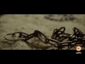 ضيا عيني حامد موسى وتسنيم النخيلي ضيا عيني حامد موسى وتسنيم النخيلي