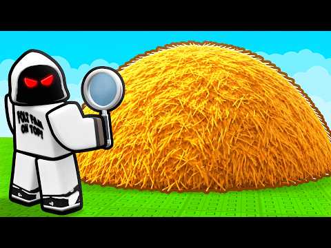 ROBLOX SEARCH FOR THE NEEDLE..