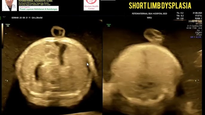 Fohisha Suzanna Krylatskoe Masajchi qarshilik korsata olmadi va mijozni hol mushuk bilan sikdi.