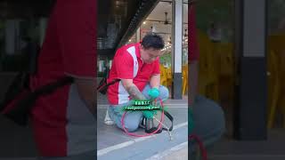 Pest React Pte Ltd - Your Preferred Pest Control Company