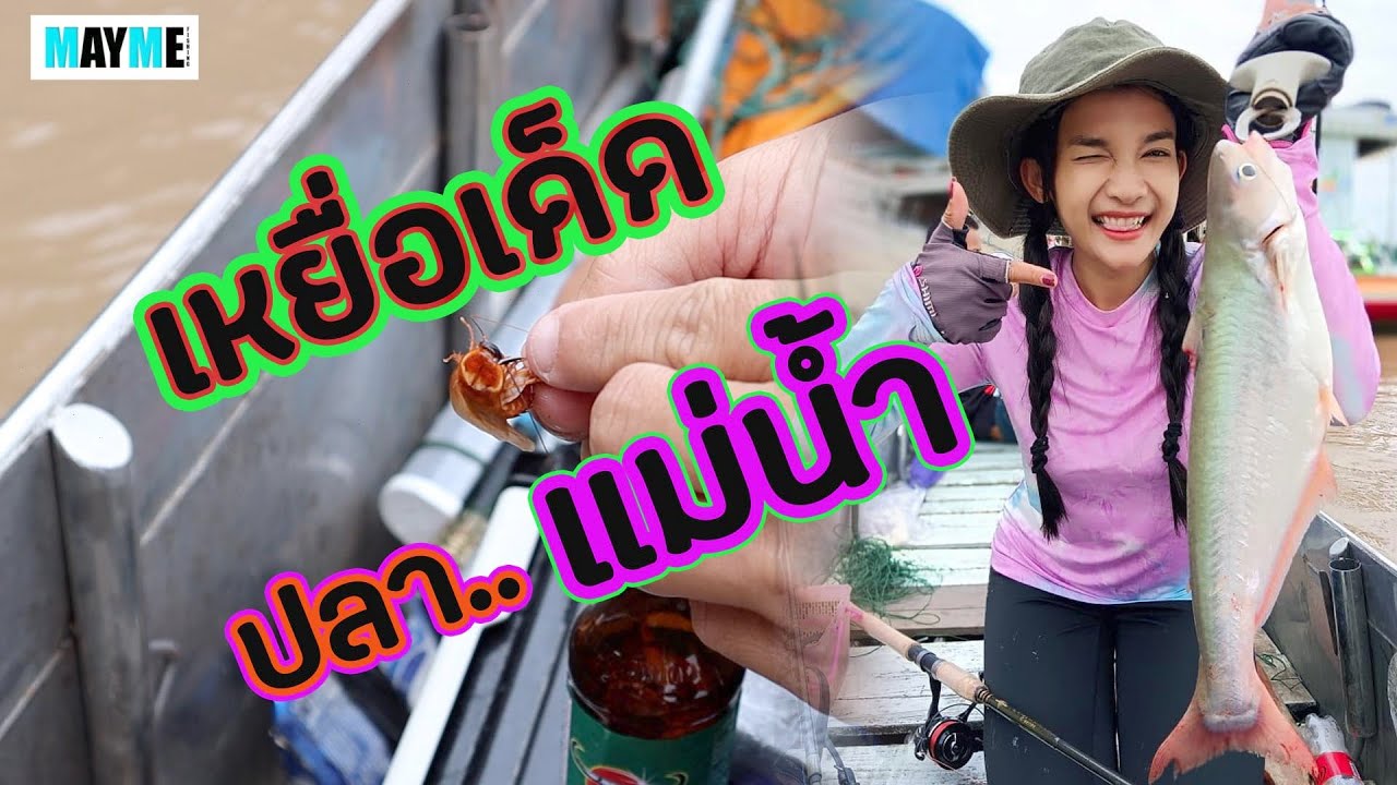 ปลาตัวนี้ตกได้แค่ปีละครั้ง  เหยื่อเด็ด!!ปลาแม่น้ำ #MAYME #เมย์มี่