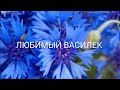 БОМБИЧЕСКИЙ ЗАКАЗ ОТ ЛЮБИМОГО ВАСИЛЬКА!!!!