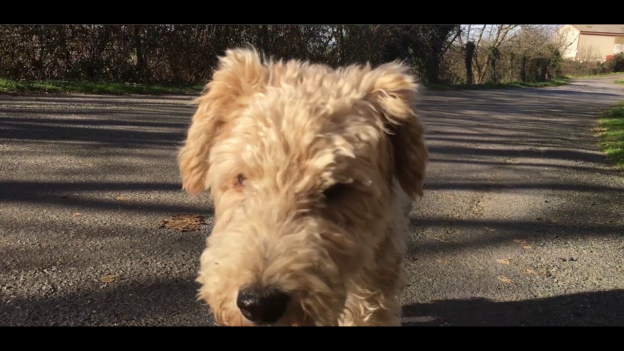 Aspires, Brasc, France "City Life #33"