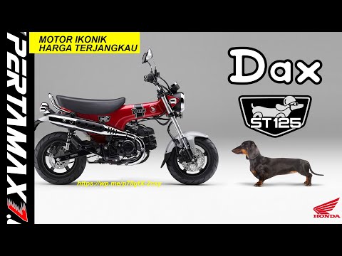 Harga Honda ST125 DAX Indonesia 🏍🏍🏍 Motor Premium Terjangkau Ikonik Bersejarah #honda #dax125 #st125