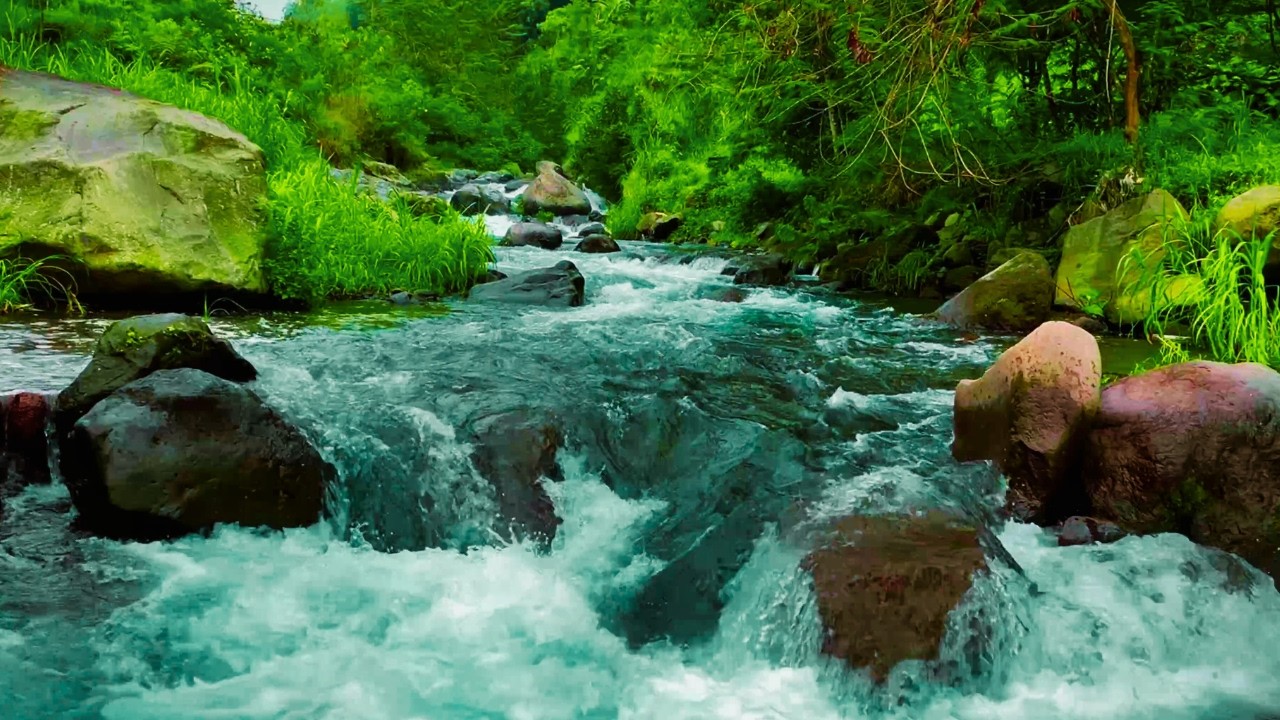 Forest Stream Flowing Sound, Relaxing Waterfall Sounds. Water White Noise for Sleep or Relax