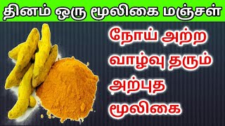 தினம் ஒரு மூலிகை மஞ்சள் நோய் அற்ற வாழ்வு தரும் அற்புத மூலிகை