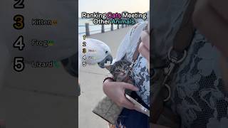 Ranking Cats Meeting Other Animals😱