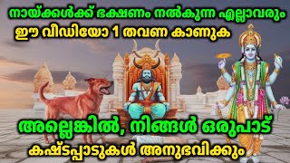 നായ്ക്ക് ഭക്ഷണം നൽകുന്ന ഓരോരുത്തരും, ഈ വീഡിയോ 1 തവണ കാണുക.vaastuveddarpan