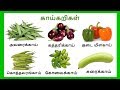 காய் காய் காய்கறிகள்  | Learn vegetables names in Tamil for kids and children - Tamilarasi